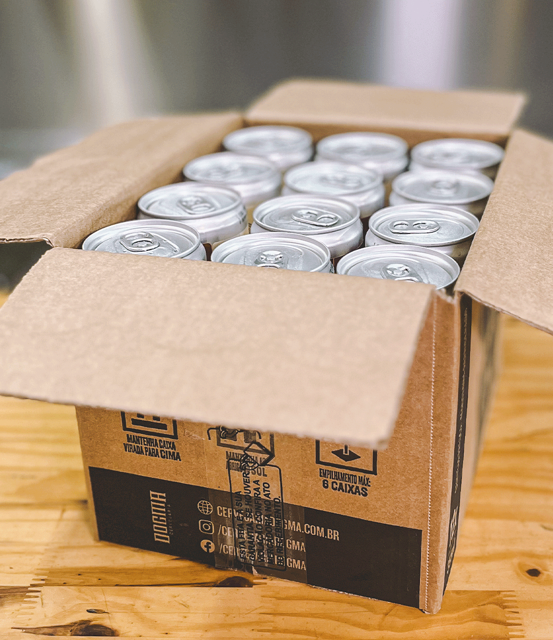 PILSEN - 12 LATAS 355ML