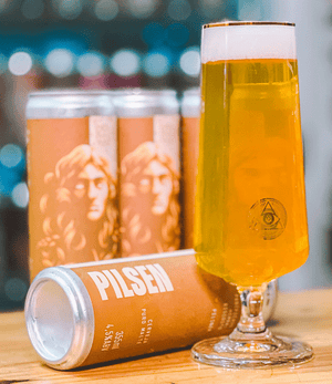 PILSEN - 12 LATAS 355ML