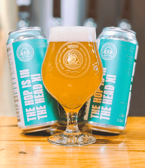 THE HOPS IN THE HEAD XI