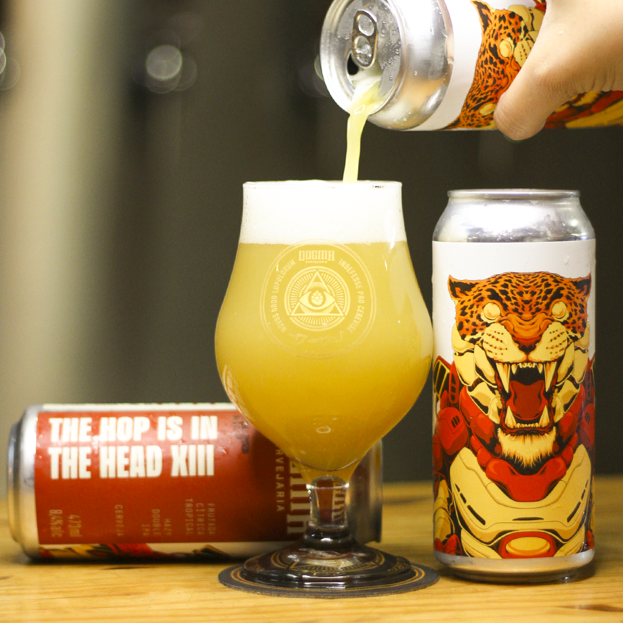 THE HOP IS IN THE HEAD XIII