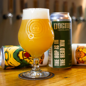 THE HOP IS IN THE HEAD XIV